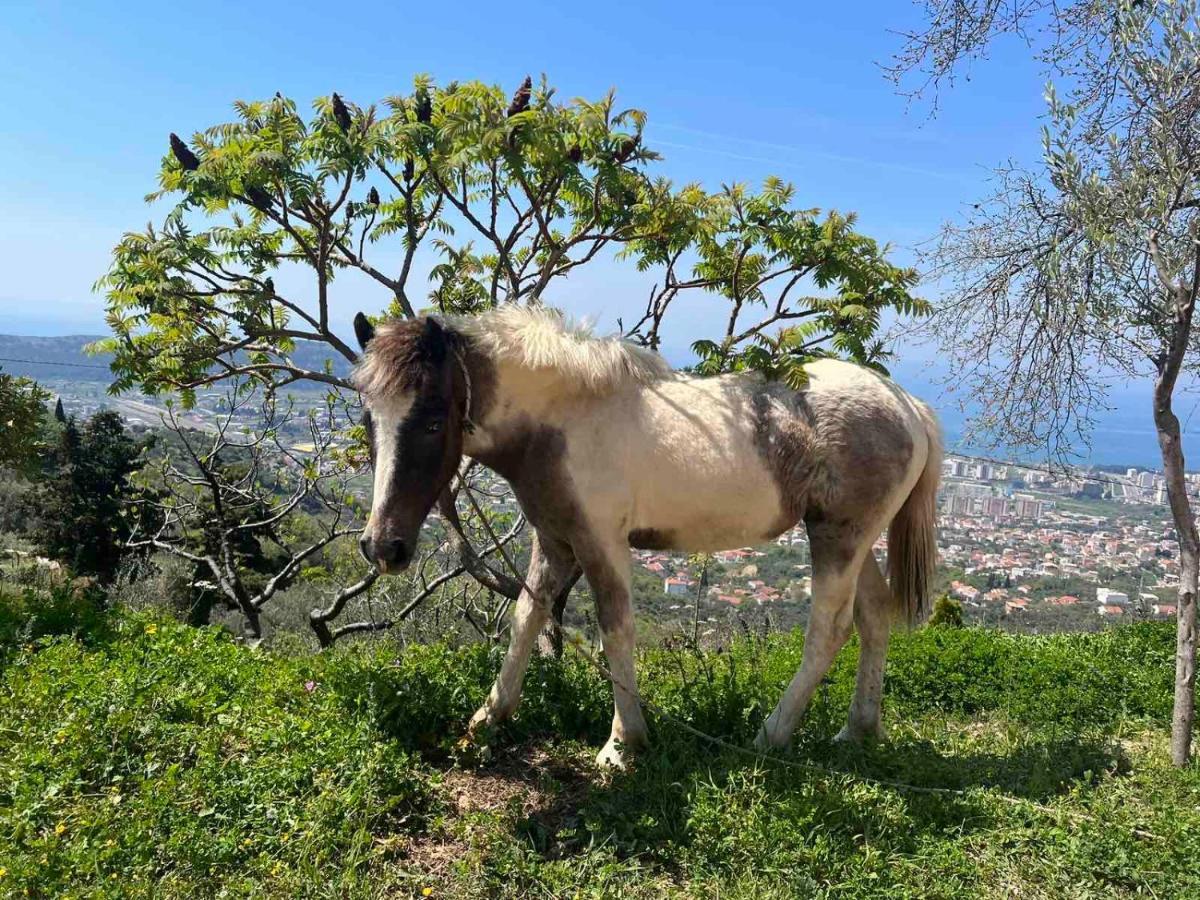 Apartmán Ranc Mujica Bar Exteriér fotografie